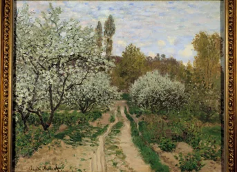Epletrær i blomst
