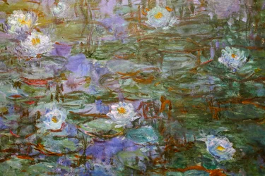 Blå vannliljer (detalj)