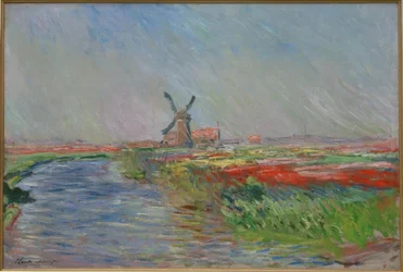 Tulipanmarker i Holland