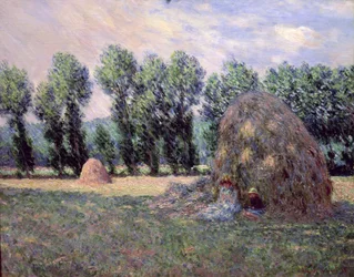Høystakker, 1885