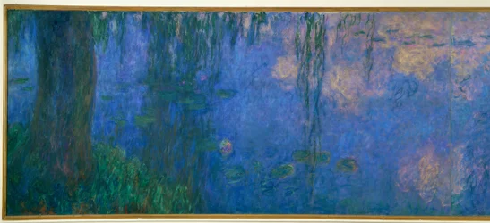 Vannliljedammen med piler, Willows Morning