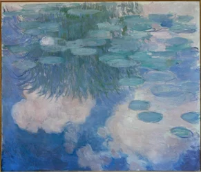 Nymfeer