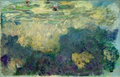 Nymfeer