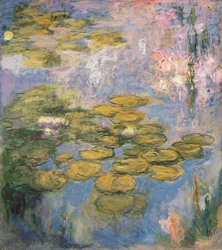 Vannliljer, 1916-19
