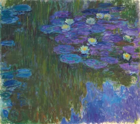 Blomstrende vannliljer