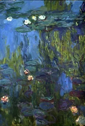 Vannliljer, 1914-17