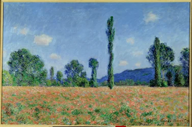 Poppy Field, 1890 (olje på lerret)