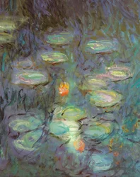 The Nympheas: Morning (detaljer)