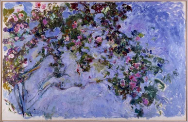 Rosene