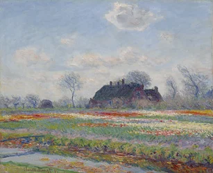 Tulipanmarker ved Sassenheim, 1886