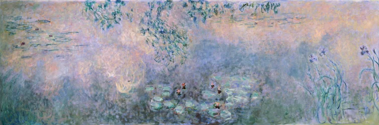 Vannliljer (vannliljedam med iris)