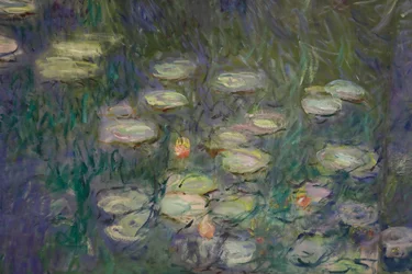 Vannliljer (olje på lerret)