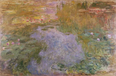 Vannliljer, 1919