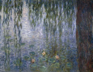 Vannliljer, av Claude Monet, detalj