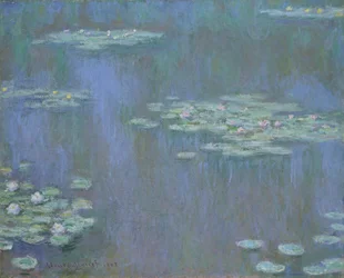 Vannliljer, 1905