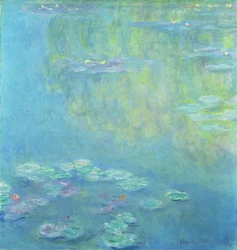 Vannliljer, 1906