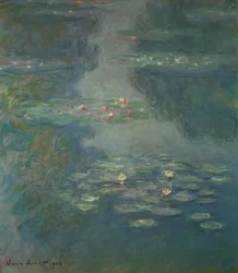 Vannliljer, 1908