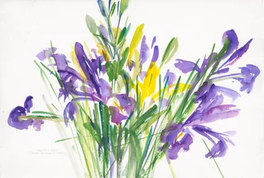 Irises, 1999, (akvarell på papir)