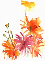 Ringblomster og andre blomster, 2004