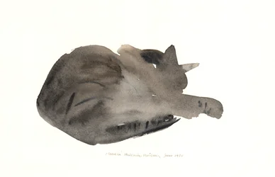 Sovende katt, 1985 (akvarell)