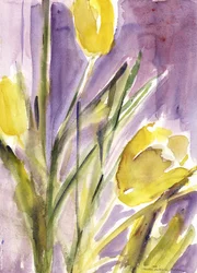 Tulipaner, 1987