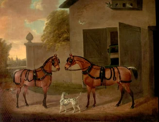 Vogner, hester og hunder