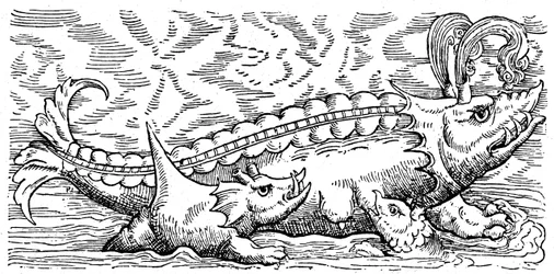 Ammer hval og sjøgris