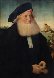 Portrett av en skjeggete herre