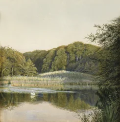 Swans on Paddington Pond, 1860-tallet (wc på papir)
