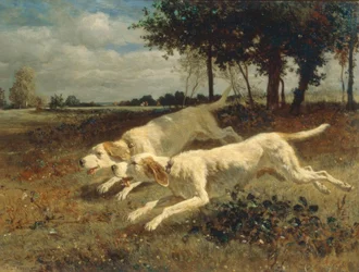 Løpende hunder