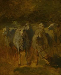 Uferdig studie av sauer, ca. 1850.