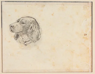Et hundehode