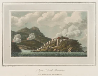 Dueøya på Martinique. Litografi (56,6 x 43,4 cm), av pastor Cooper Williams (1762–1816).