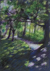 Solbelyst skogsti