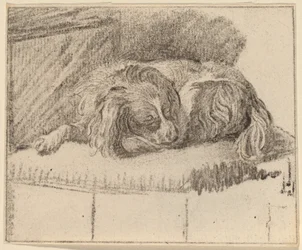 Løgnende hund
