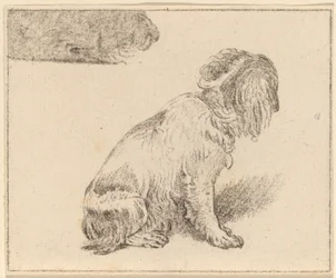 Sittende hund