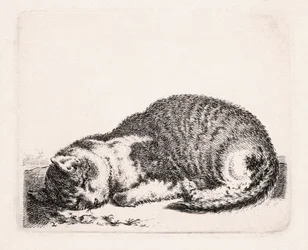 Sovende katt, ca. 1607-81