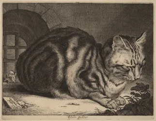 Den store katten