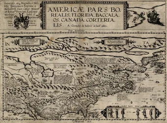 Nord-Amerika, Florida, Torsk, Canada, Corterealis