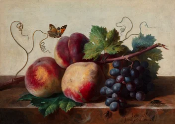 Stilleben av fersken og druer på et marmorbord med en sommerfugl og andre insekter