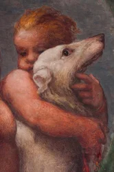 Parma, Camera di San Paolo, Putto