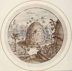 Bikube, tidlig på 1600-tallet (penn og brunt blekk med brune og grå vask)