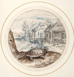 Skilpadde, tidlig på 1600-tallet (penn og brunt blekk med brune og blå vasker)