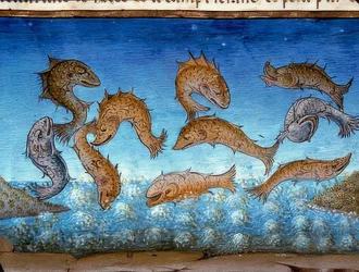 Verdens ende: fisken vil svømme over (ca. 147r). 1476