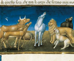 "Stjerner vil falle fra himmelen foran øynene til dyr" (miniatyr) Miniatyr av Cristoforo De Predis (1440-1486)