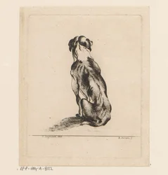 Sittende hund sett bakfra