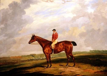 Veddeløpshest med Jockey Up