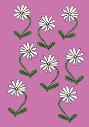 Tusenfryd gjentar rosa bakgrunn (digital)