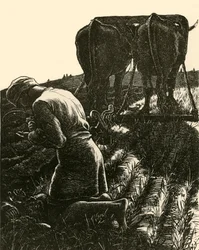 Den skjulte skatten, 1864, 1928.