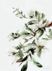 Blomst